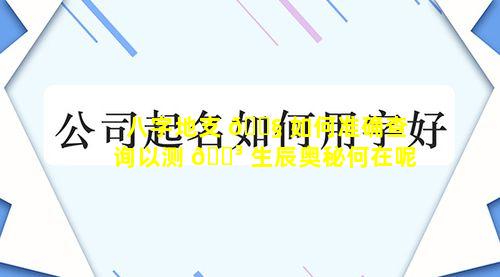 八字地支 🐧 如何准确查询以测 🐳 生辰奥秘何在呢
